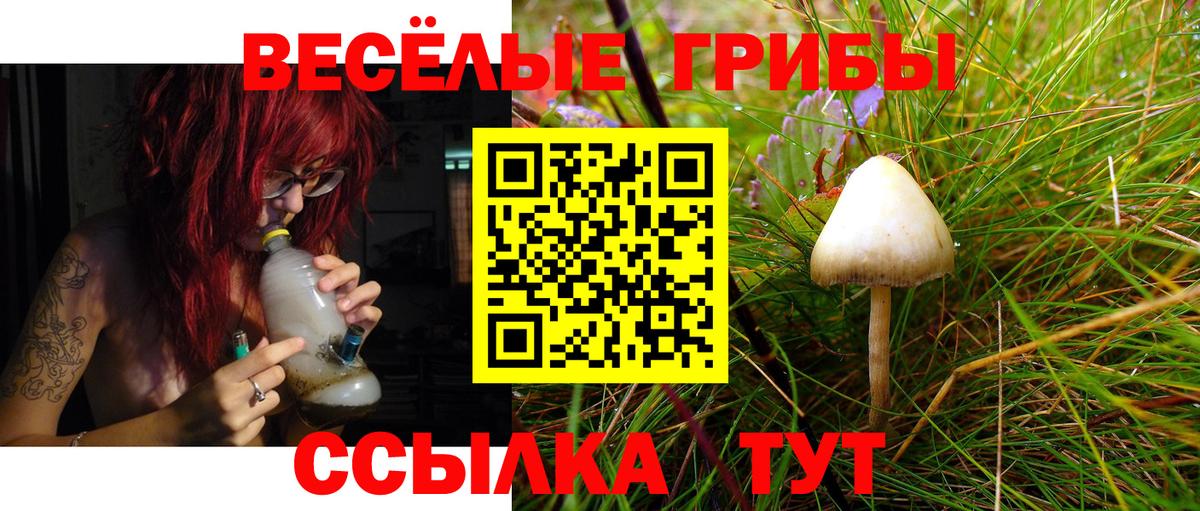 Галлюциногенные грибы ЛСД Элиста