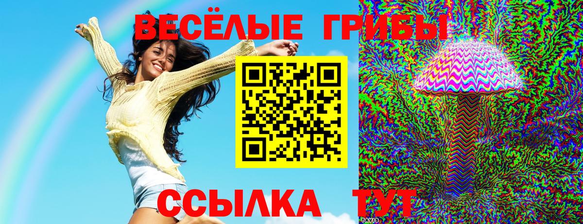 Псилоцибиновые грибы ЛСД  Вход с VPN  Элиста 