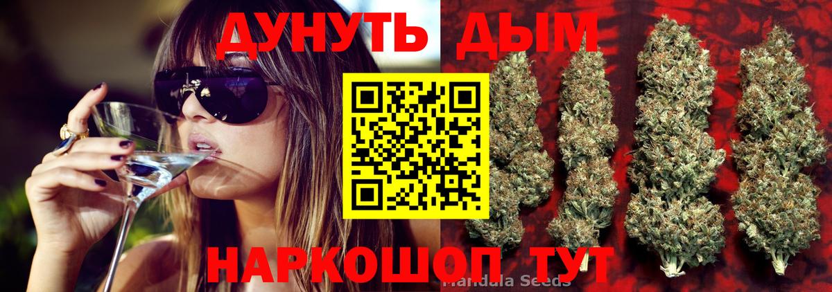 Бошки Шишки план Элиста